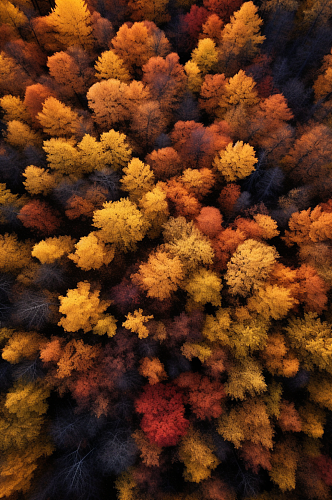 AI数字艺术二十四节气立秋秋天摄影图
