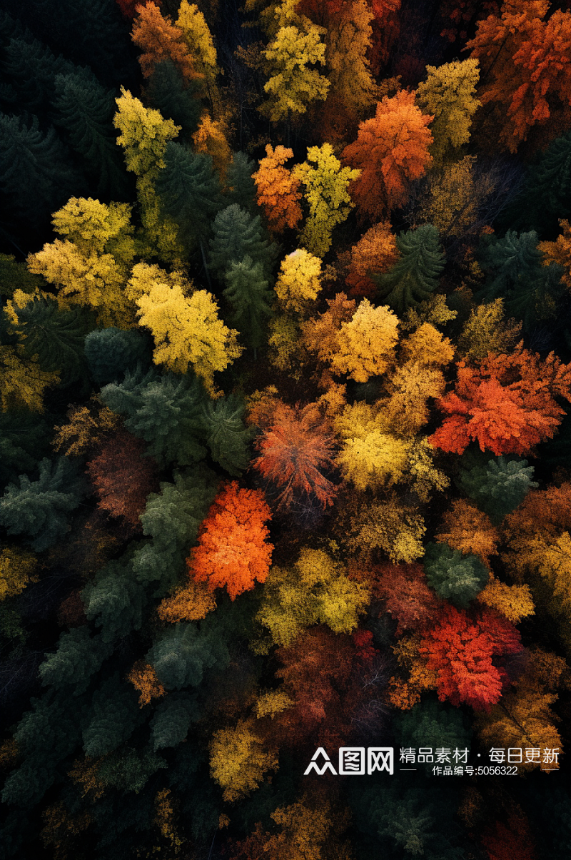 AI数字艺术二十四节气立秋秋天摄影图素材