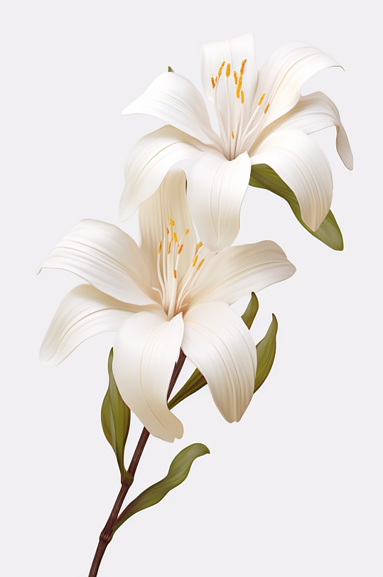 AI數(shù)字藝術(shù)3D立體秋季植物花朵模型