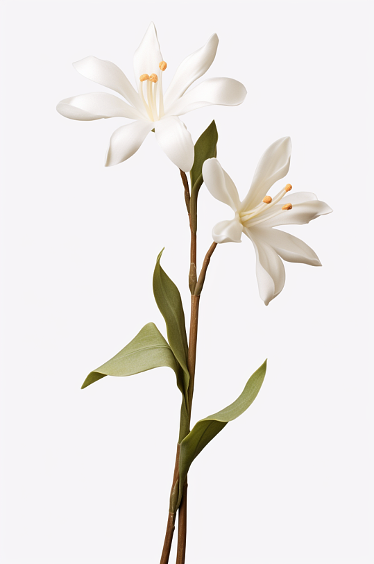 AI數(shù)字藝術(shù)3D立體秋季植物花朵模型