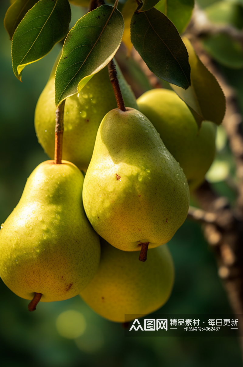 AI数字艺术梨子果树果园农产品摄影图片素材