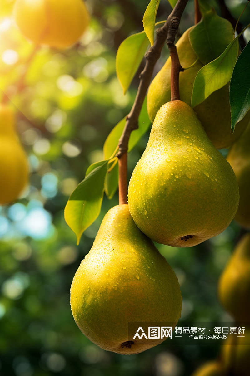 AI数字艺术梨子果树果园农产品摄影图片素材