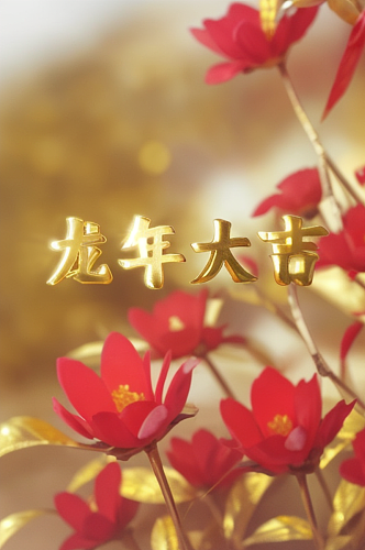 AI数字艺术龙年祝福语立体字模型