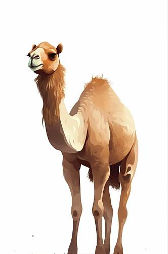 AI数字艺术高清骆驼动物卡通插画图片