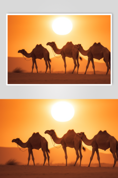 AI数字艺术唯美宁夏旅游骆驼在沙漠中行走摄影图片