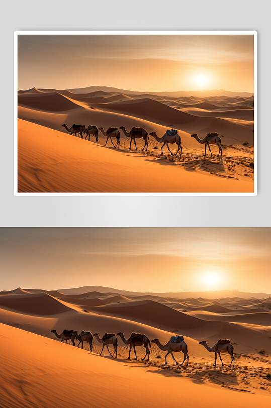 AI数字艺术高清宁夏旅游骆驼在沙漠中行走摄影图片