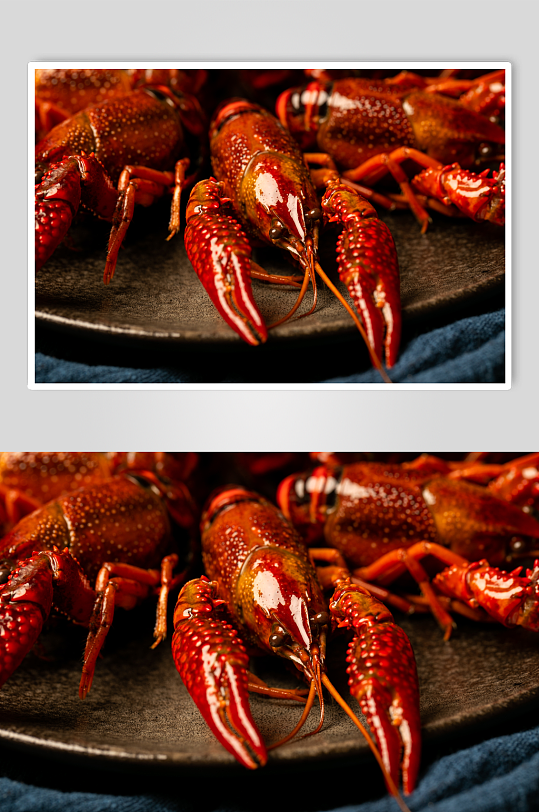 新鲜小龙虾食物食材美食摄影图片