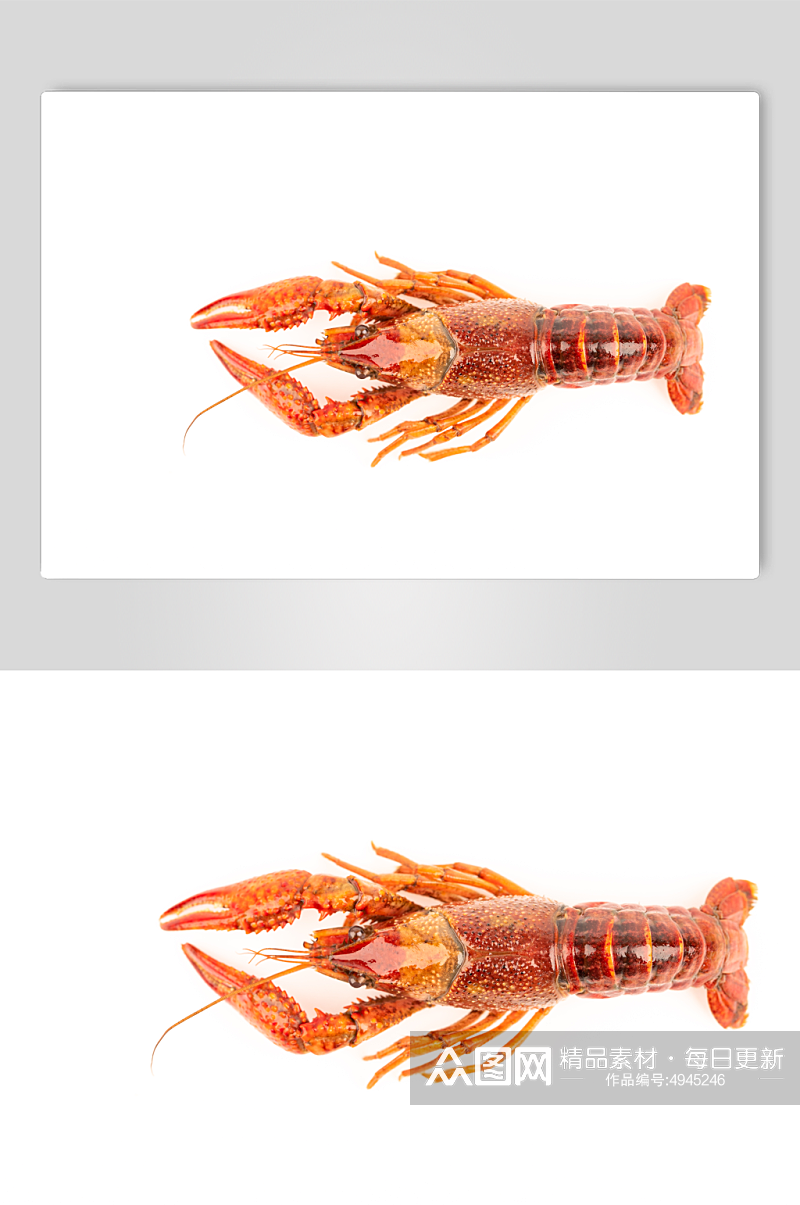 新鲜小龙虾食物食材美食摄影图片素材