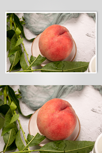 新鲜清新毛桃桃子水果摄影图片