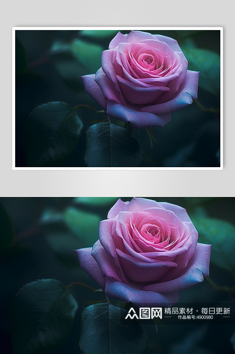 AI数字艺术唯美手绘玫瑰花卉摄影图片素材