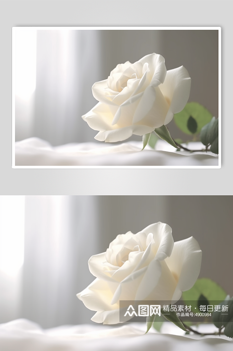 AI数字艺术唯美手绘玫瑰花卉摄影图片素材