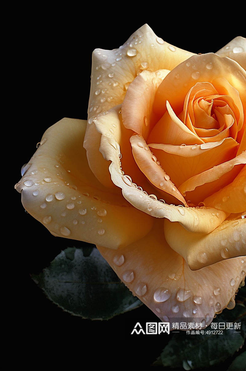 AI数字艺术唯美黄色玫瑰花卉摄影图片素材