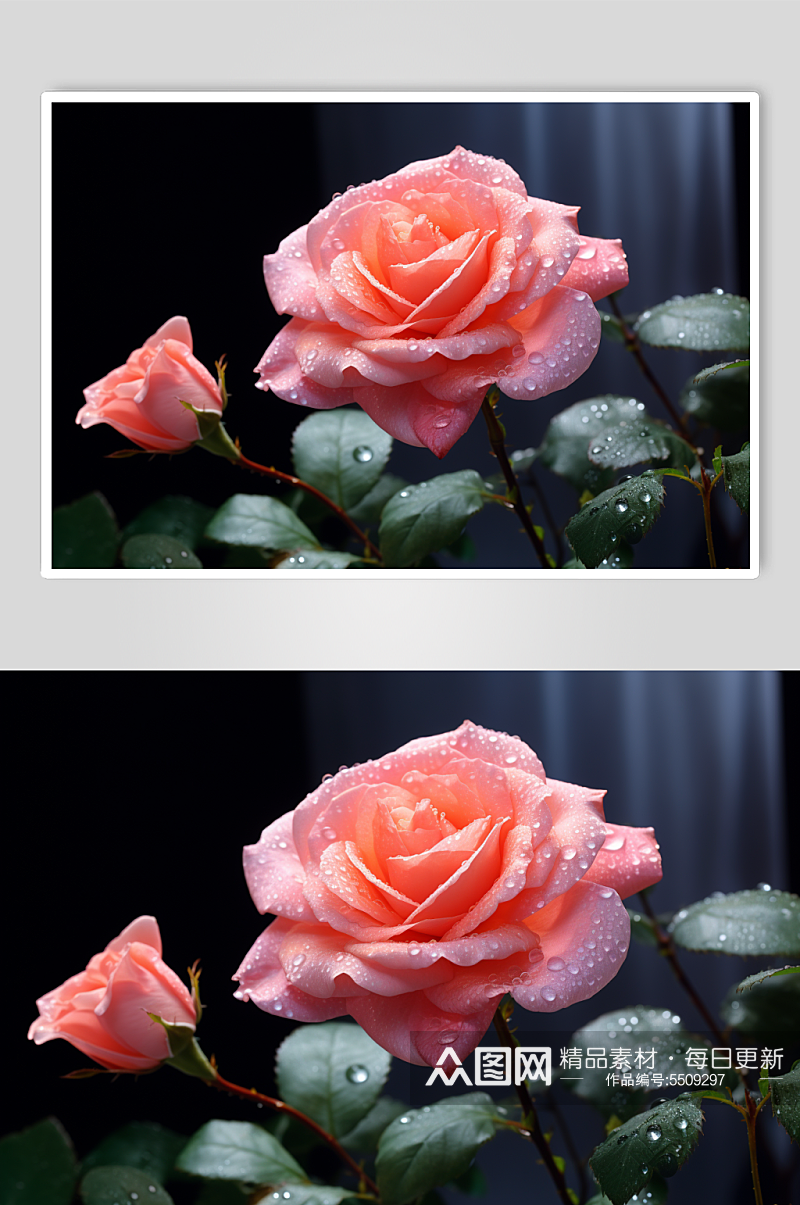 AI数字艺术玫瑰花卉摄影图片素材