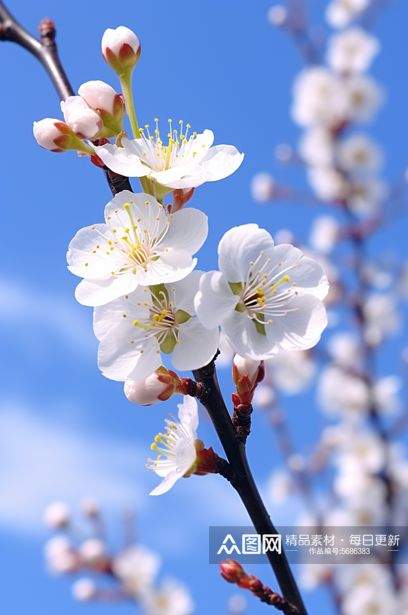 AI数字艺术高清梅花花朵摄影图素材