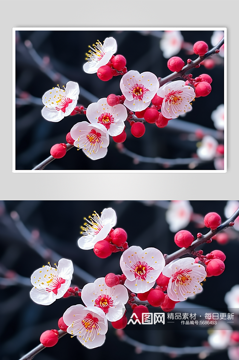 AI数字艺术高清梅花花朵摄影图素材