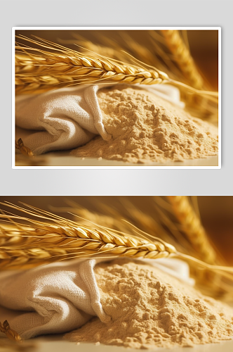 AI数字艺术简约面粉小麦粉烘焙摄影图片