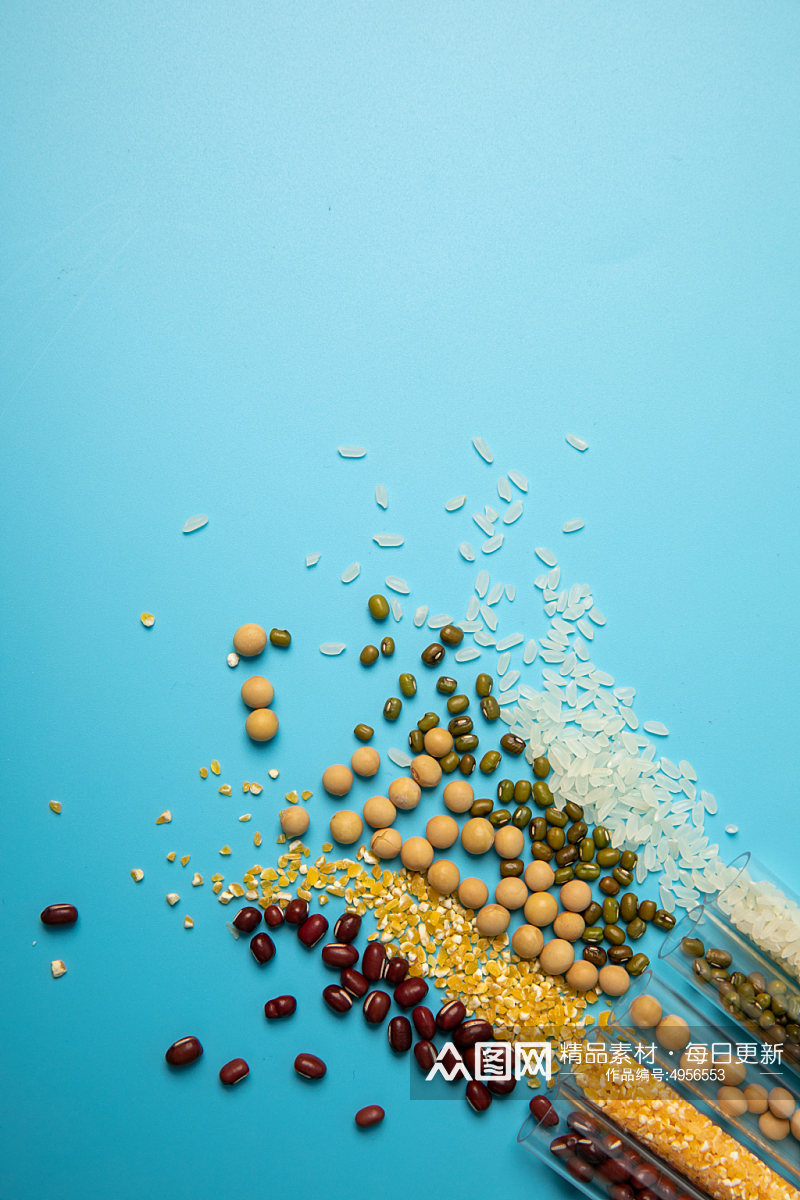 花生大豆食品安全农业科技食品培育摄影图片素材