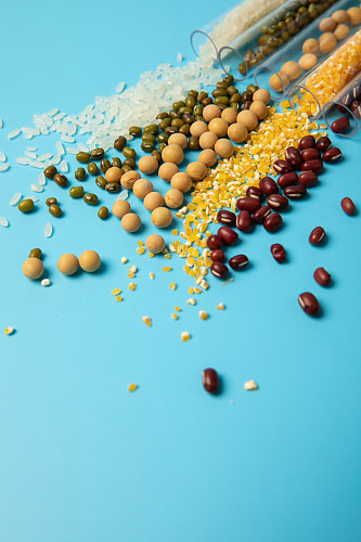 花生大豆食品安全农业科技食品培育摄影图片