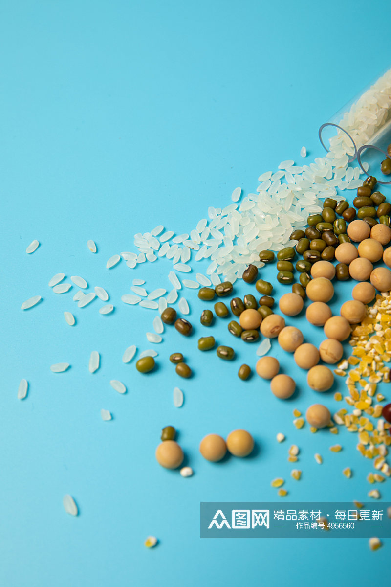 花生大豆食品安全农业科技食品培育摄影图片素材