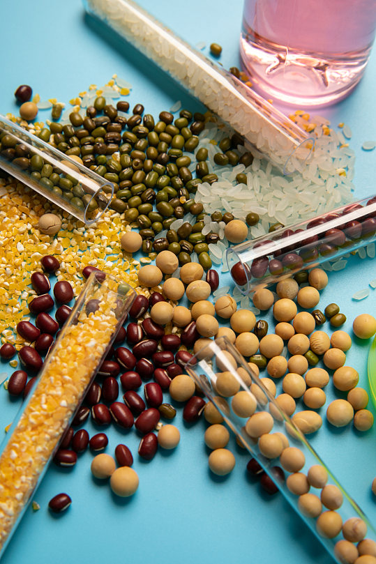 花生大豆食品安全农业科技食品培育摄影图片