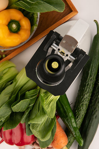 辣椒大蒜食品安全农业科技食品培育摄影图片