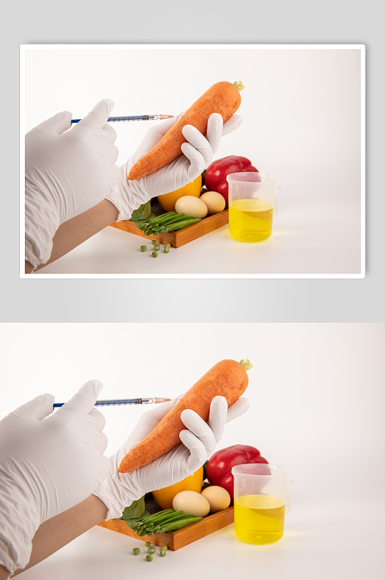 胡萝卜食品安全农业科技食品培育摄影图片