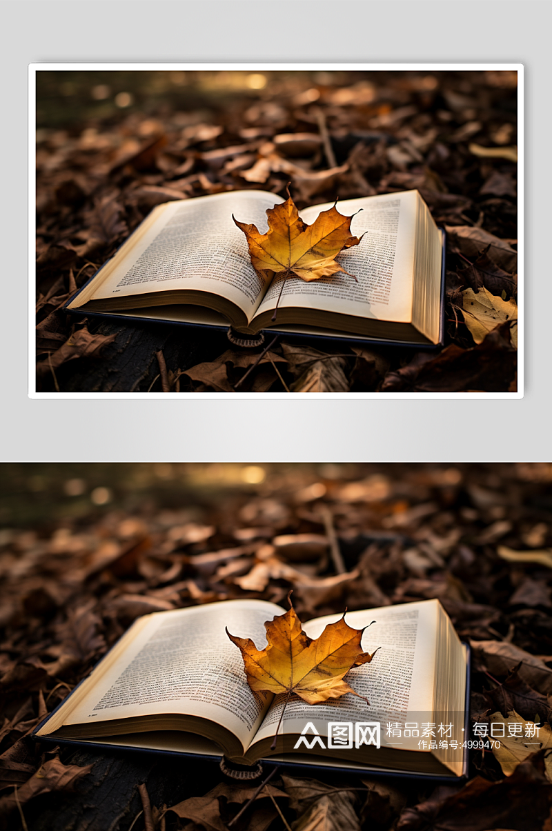 AI数字艺术清新秋季落叶在书籍上摄影图片素材