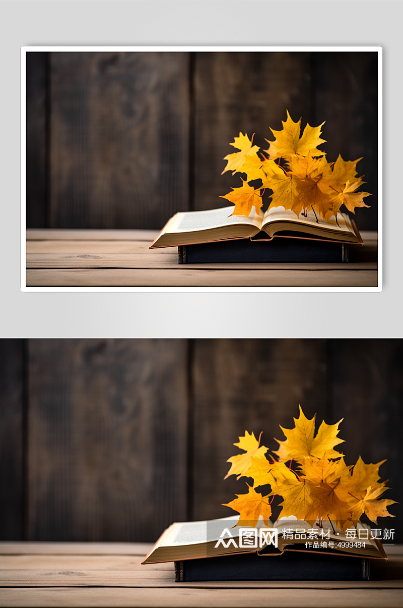 AI数字艺术高清立秋风景秋季落叶在书籍上摄影图片素材