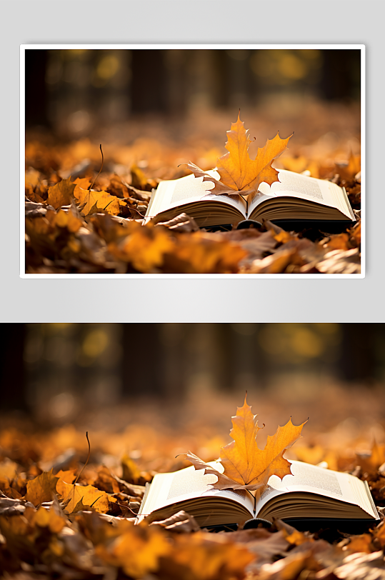 AI数字艺术唯美立秋风景秋季落叶在书籍上摄影图片