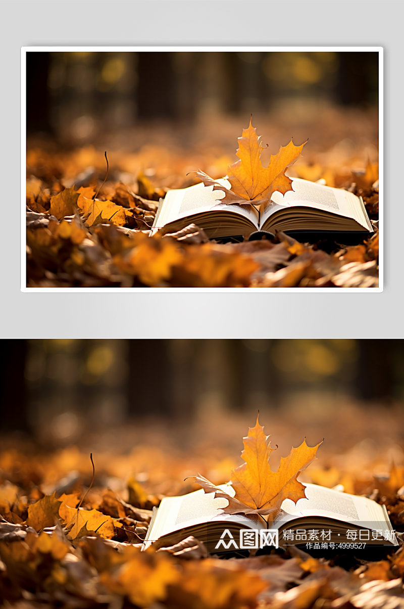 AI数字艺术唯美立秋风景秋季落叶在书籍上摄影图片素材