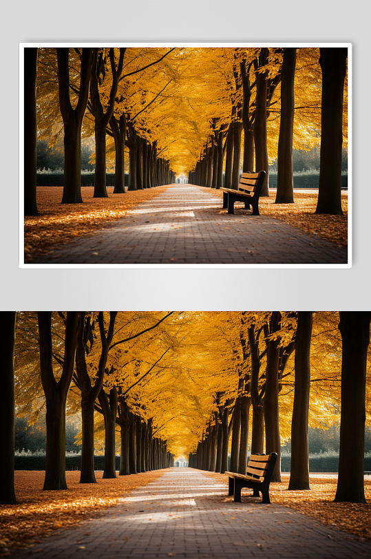 AI数字艺术公路秋天秋季自然风景摄影图片