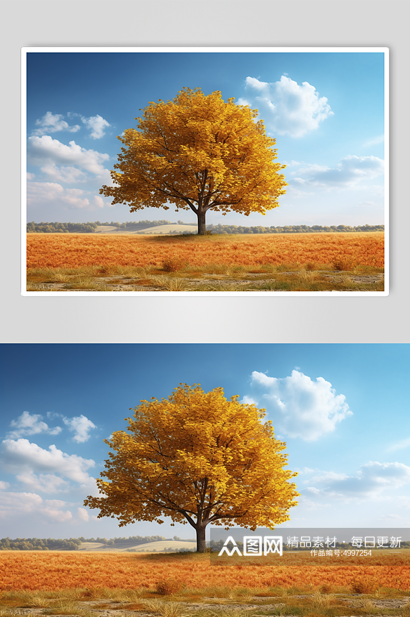 AI数字艺术枫树秋天秋季自然风景摄影图片素材