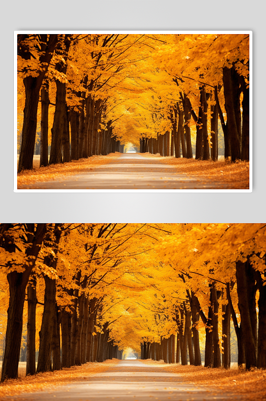 AI数字艺术公路秋天秋季自然风景摄影图片