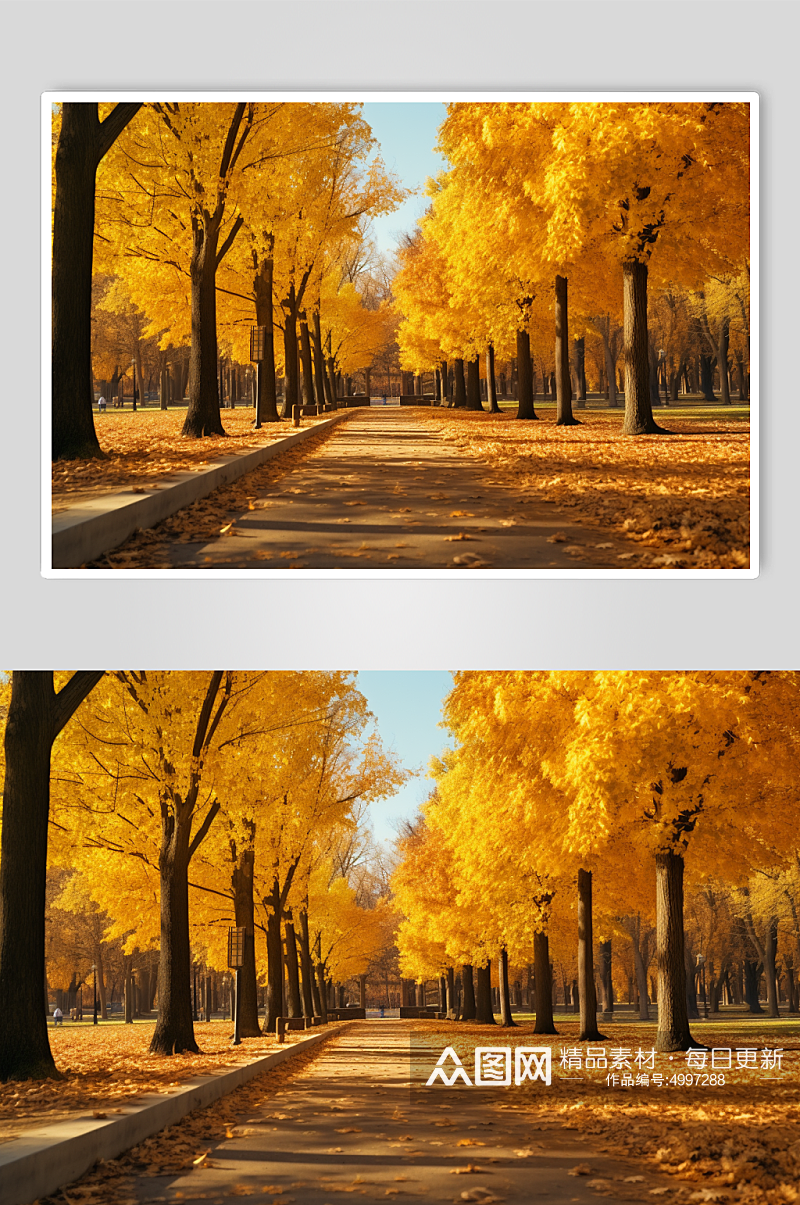 AI数字艺术银杏林秋天秋季自然风景摄影图素材