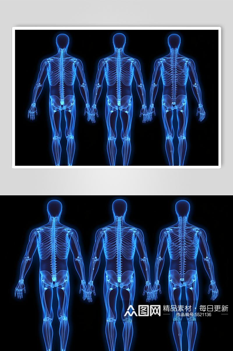 AI数字艺术人体各部位神经医疗透视图片素材