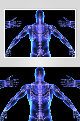 AI数字艺术人体各部位神经医疗透视图片