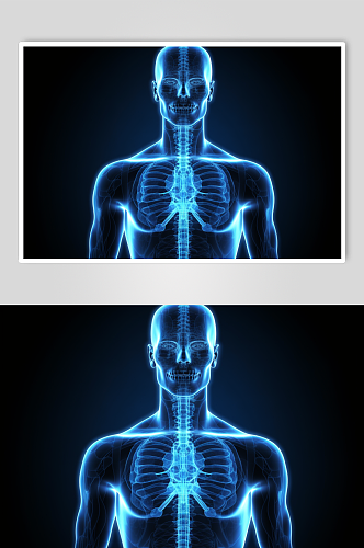 AI数字艺术人体各部位神经医疗透视图片