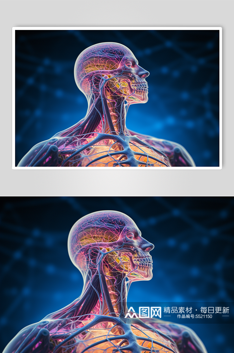 AI数字艺术人体各部位神经医疗透视图片素材
