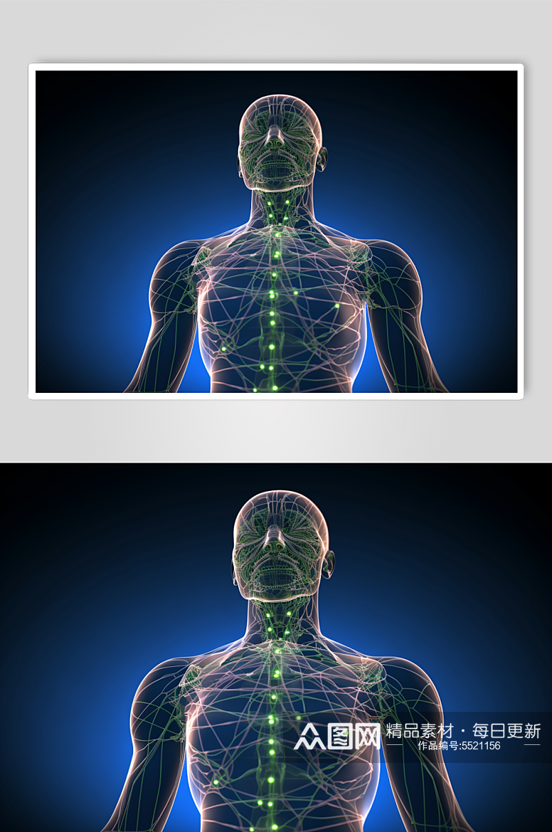 AI数字艺术人体各部位神经医疗透视图片素材