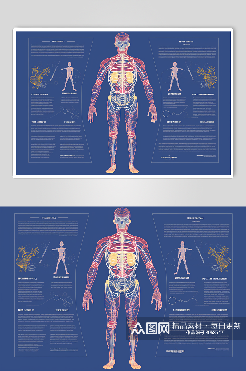 AI数字艺术卡通人体器官结构医疗医学插画素材