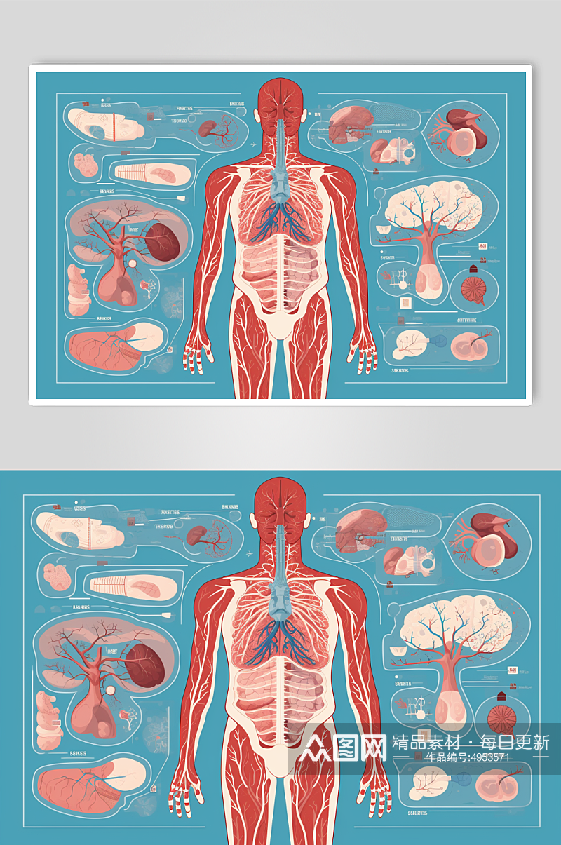 AI数字艺术卡通人体器官结构医疗医学插画素材
