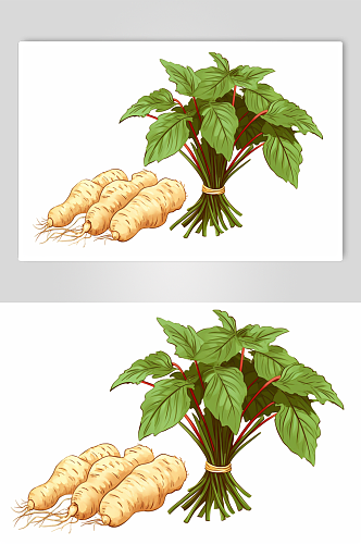 AI数字艺术三七中草药药材插画