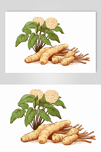 AI数字艺术三七中草药药材插画