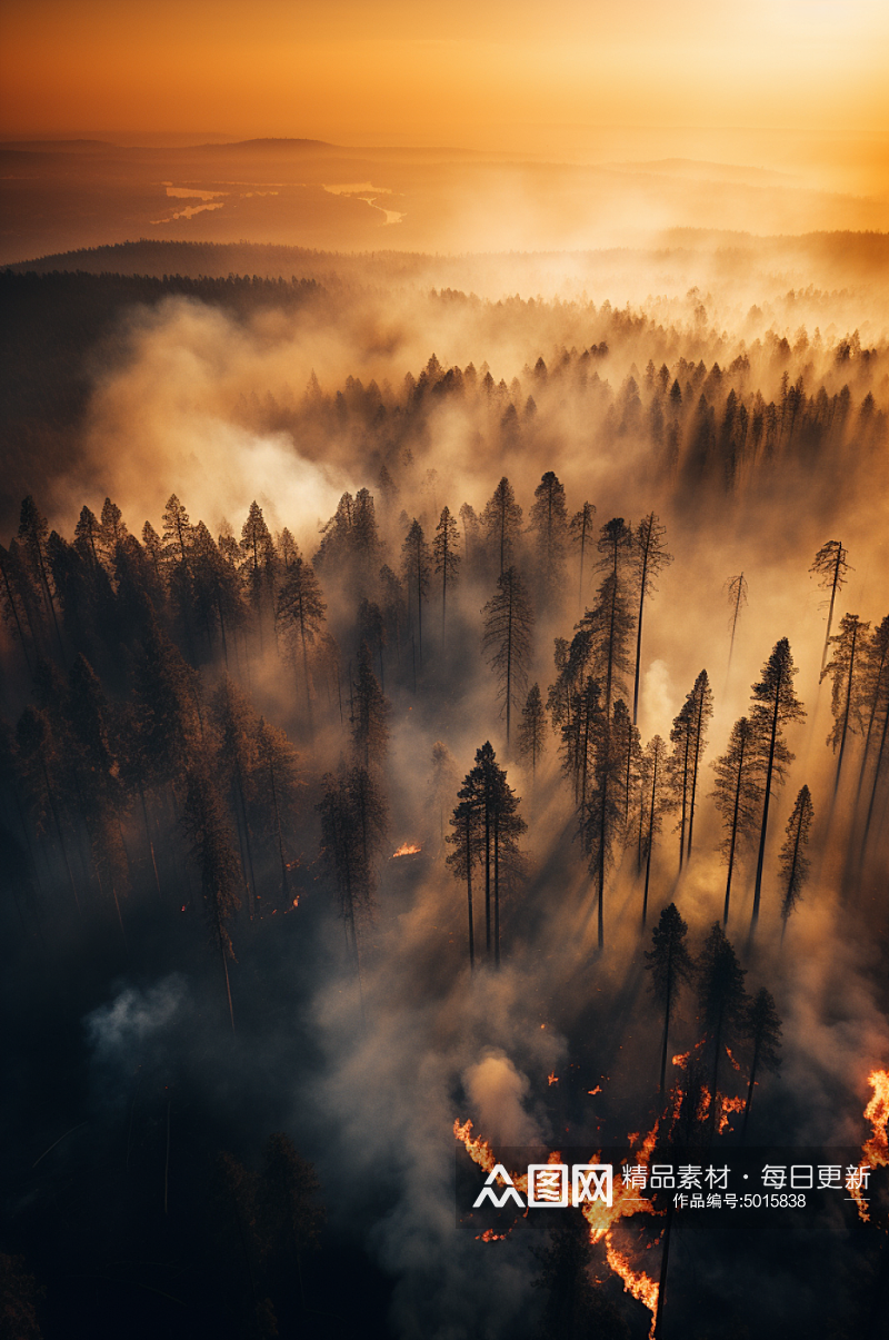AI数字艺术自然灾害森林火灾摄影图片素材