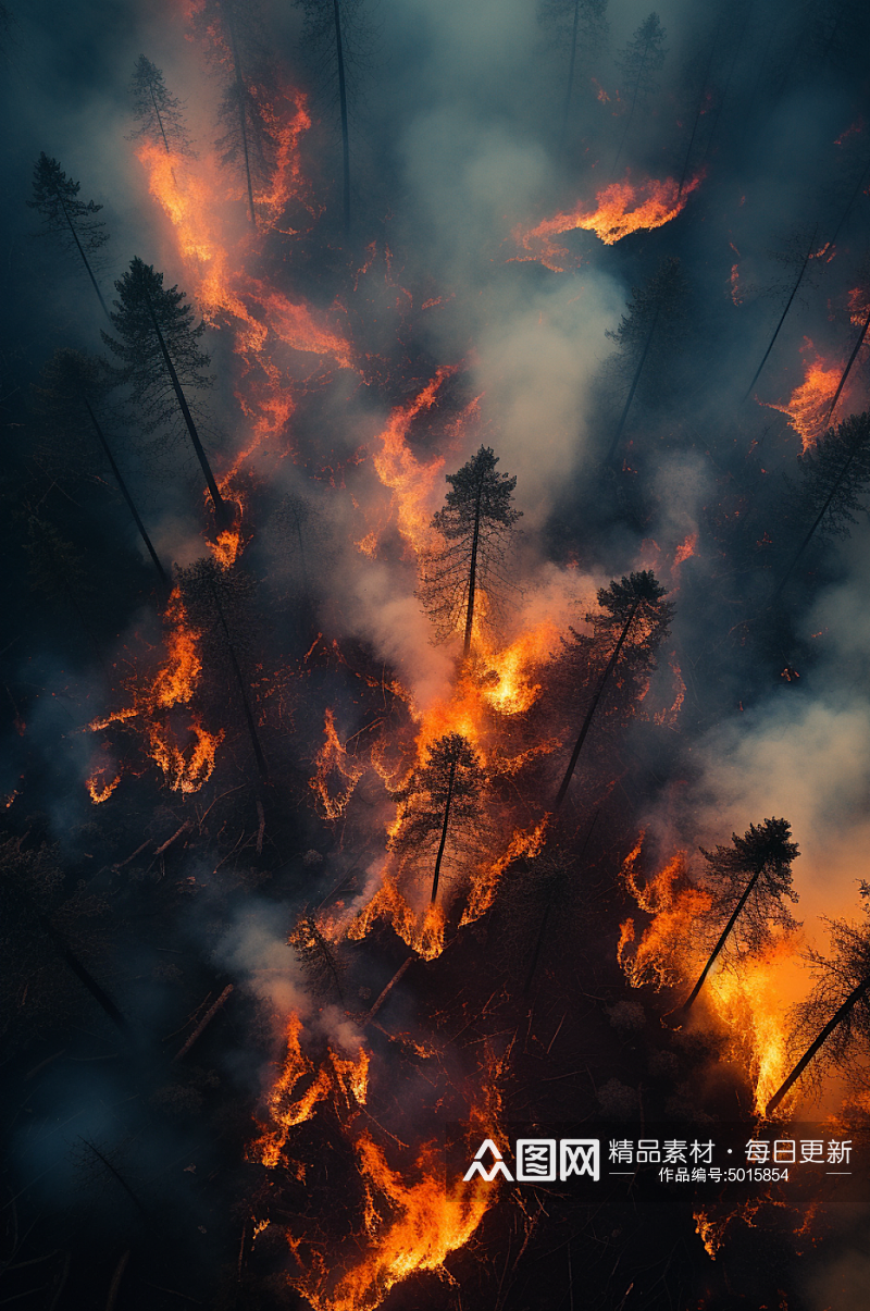 AI数字艺术自然灾害森林火灾摄影图片素材