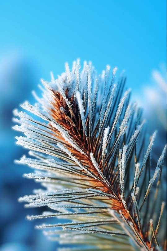 AI数字艺术创意二十四节气霜降摄影图片-众图网