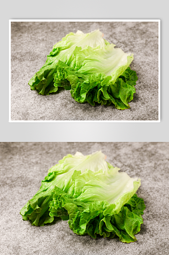 新鲜生菜有机蔬菜食材摄影图片