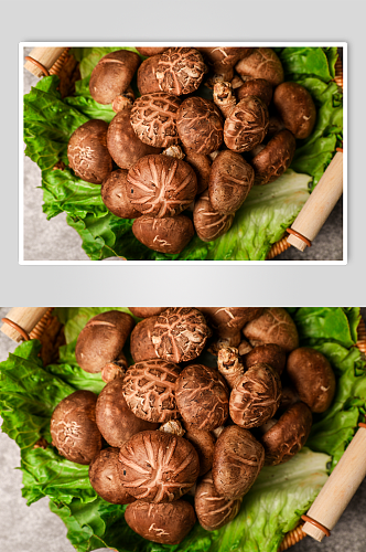 新鲜蘑菇香菇有机蔬菜食材摄影图片