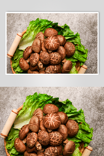 新鲜蘑菇香菇有机蔬菜食材摄影图片