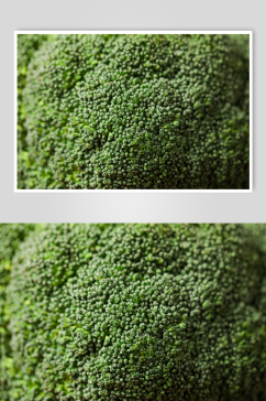 新鲜西蓝花花椰菜有机蔬菜食材摄影图片